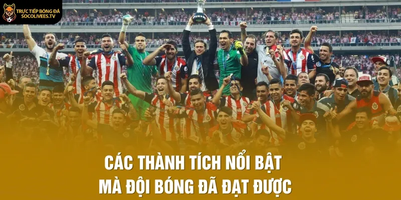Các thành tích nổi bật mà đội bóng đã đạt được