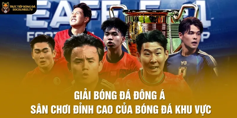 giải bóng đá đông á