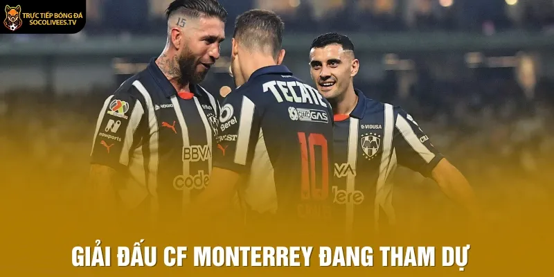 Giải đấu CF Monterrey đang tham dự