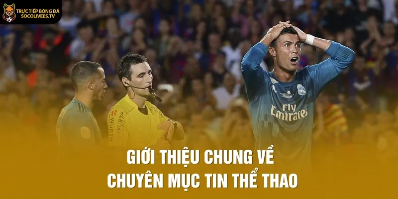 Giới thiệu chung về chuyên mục tin thể thao